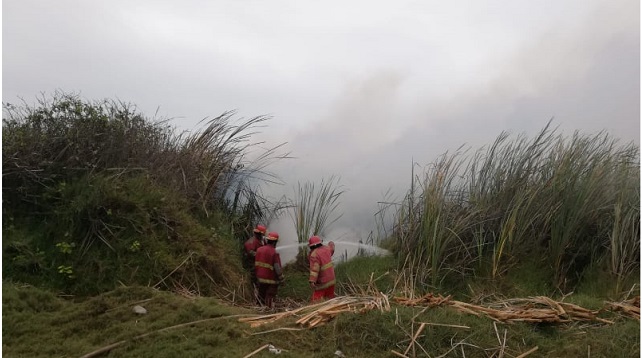 Poblador provocó un dantesco incendio de más de dos hectáreas de pastizales en puerto Santa 