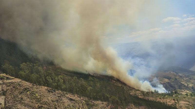  Incendio forestal arrasa bosque de eucaliptos en sector Aguaytoro en Pallasca