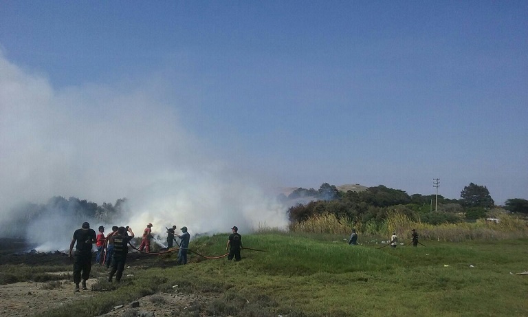 Nuevo Chimbote: seguridad ciudadana sofocó incendio que se extendía hasta “Villa María”