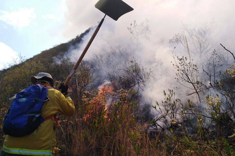 Incendio arrasa 40 hectáreas de pastos en zona de amortiguamiento del Huascarán