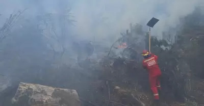 Incendios forestales en Cusco, Áncash y Cajamarca dejan más de 100 hectáreas resultaron afectadas