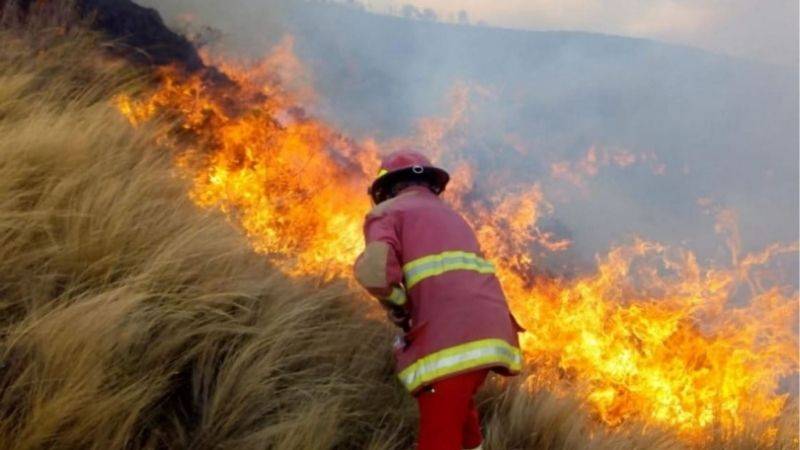 Registran 6 incendios forestales que fueron extinguidos en Áncash, Ucayali, Cusco, Madre de Dios y Arequipa