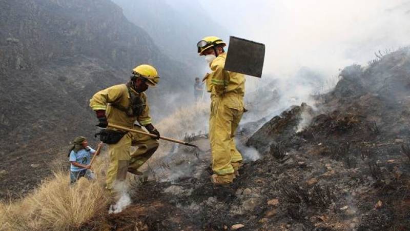 Reportan incendios forestales en Áncash, Apurímac, Cajamarca, Lima y La Libertad