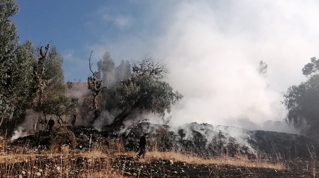 En lo que va del año se reportaron 70 incendios forestales provocados en Áncash 