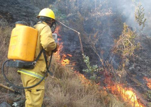 Áncash: COER reporta 5 incendios forestales en menos de 24 horas(video)