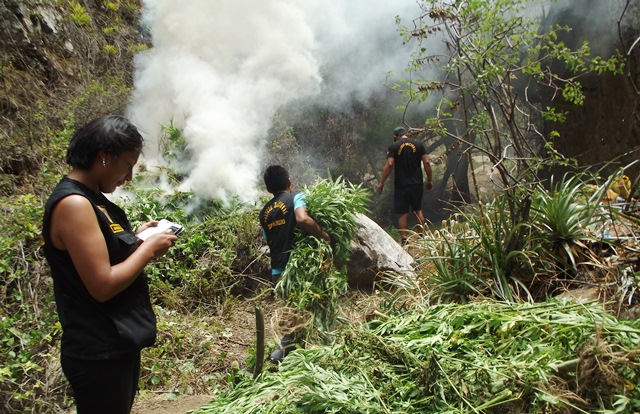 Droga incinerada en Moro estaba destinada a abastecer a Chimbote y Nuevo Chimbote