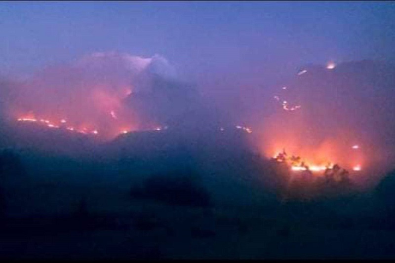 Áncash: Incendio forestal arrasa 10 hectáreas de pastos naturales y bosques