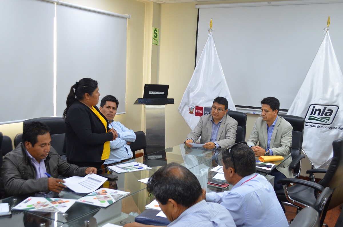 Áncash: alcaldes en alianza con INIA impulsan mejora genética del ganado y granos andinos