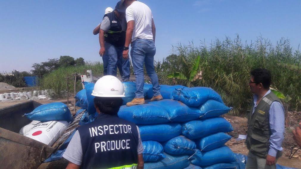 Chimbote: multaron con 2 UIT a sujeto que secaba residuos de pescado cerca a “La Perla” 