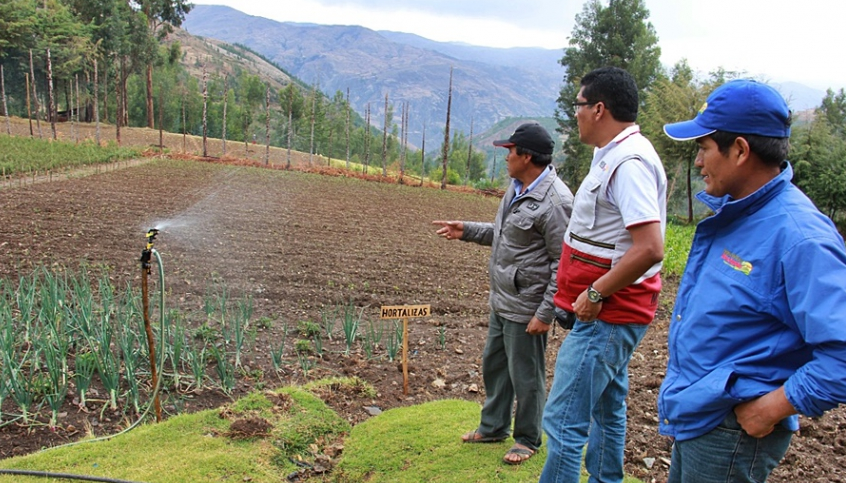 En el 2016 Foncodes ejecutó 99.5% de su presupuesto 