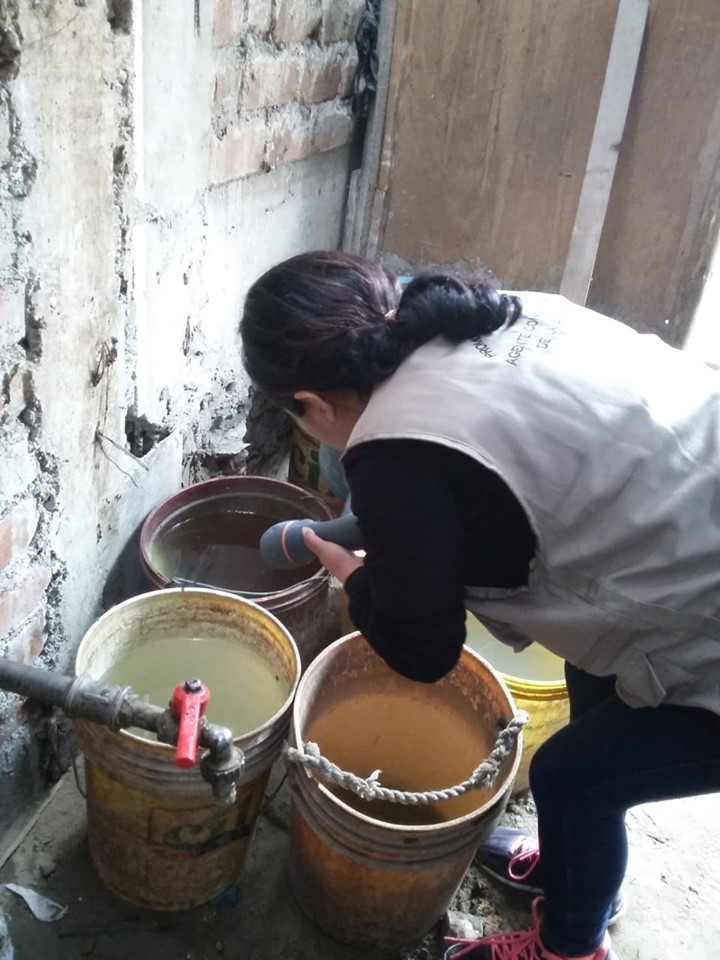 Realizan campaña informativa sobre zancudo que transmite el Dengue, Zika y Chikungunya