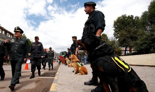 Desarticulan mafia que lavaba dinero e incautan bienes por de más de S/. 20 millones