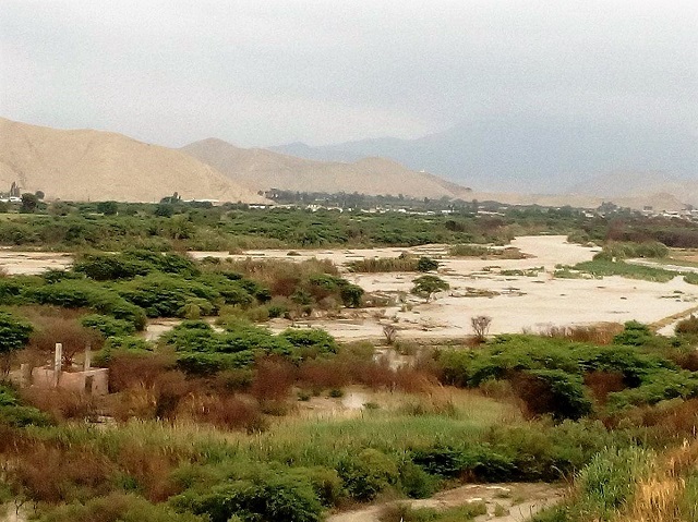 Huaicos arrasan 150 hectáreas de mangos, paltas, espárrago y maracuyá para exportación en Casma