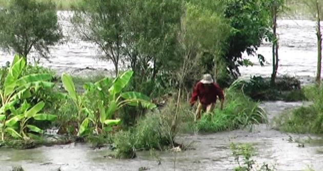 Familias de Cáceres del Perú recibirán insecticidas para evitar plagas por El Niño