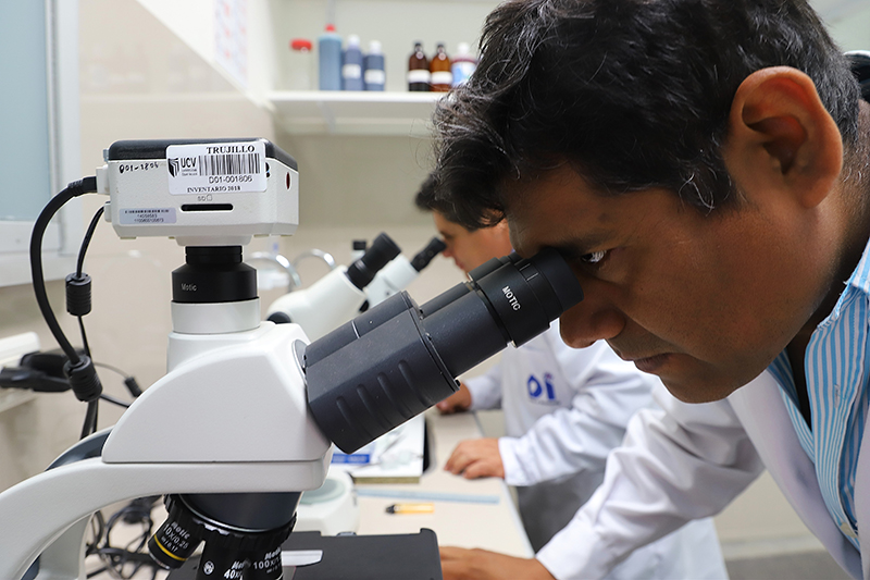 Concytec otorga subvención a investigadores universitarios por trabajo sobre pie diabético