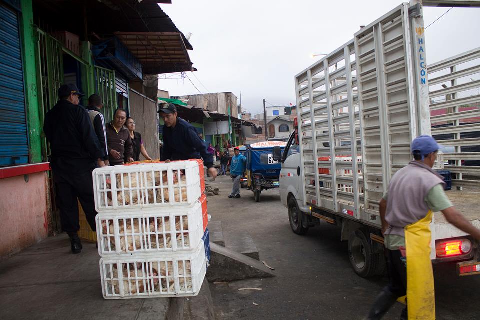 Decomisan 20 jabas de pollo del mercado El Progreso de Chimbote