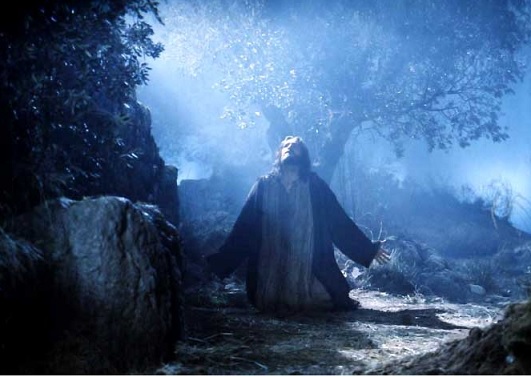  Fidelidad y Amor (Por  Fray Héctor Herrera o.p.)