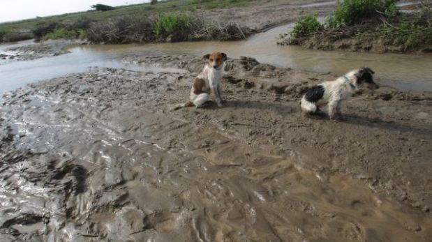 Chimbote: escasez de lluvias por “La Niña” podría afectar cultivos en el valle Santa