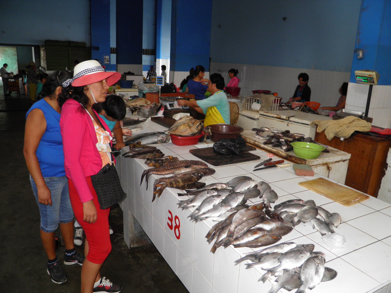 Chimbote: precio de pescados y demás especies se reduce considerablemente 