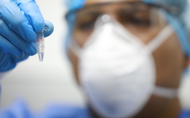 Viruela del mono: cómo se contagia esta enfermedad que genera lesiones en la piel