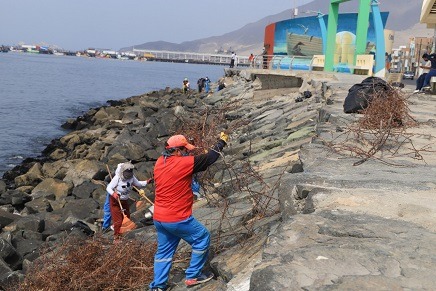 Recogen más de 3 toneladas de residuos en campaña de limpieza en el Malecón Grau 