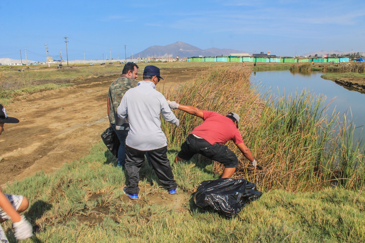 Chimbote: comuna realizó jornada de limpieza en los humedales de Villa María
