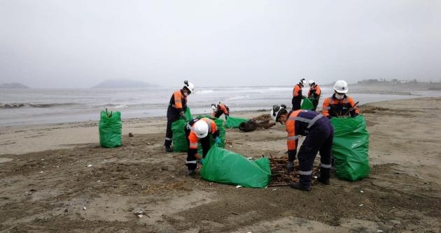 Solo 5 de 30 ciudades recolectan residuos domiciliarios al 100 %
