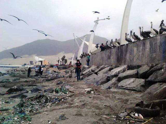 Piden que Capitanía de Puerto multe a empresas pesqueras que contaminan la bahía de Chimbote