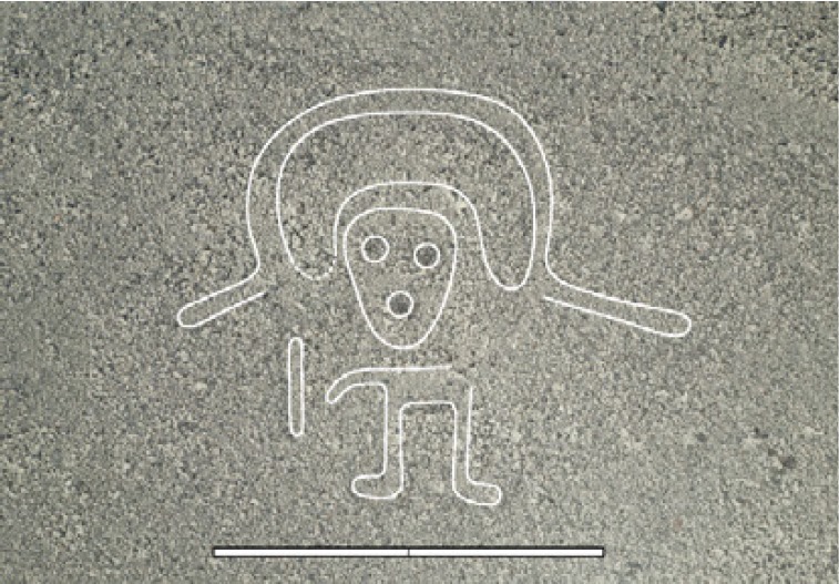 Nuevas figuras halladas con el uso de Inteligencia Artificial son más antiguas que las Líneas de Nasca