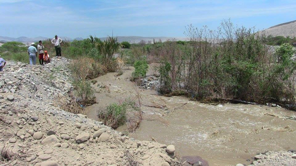 Casma: desborde de río a consecuencia de fuertes lluvias afecta 55 hectáreas de cultivo