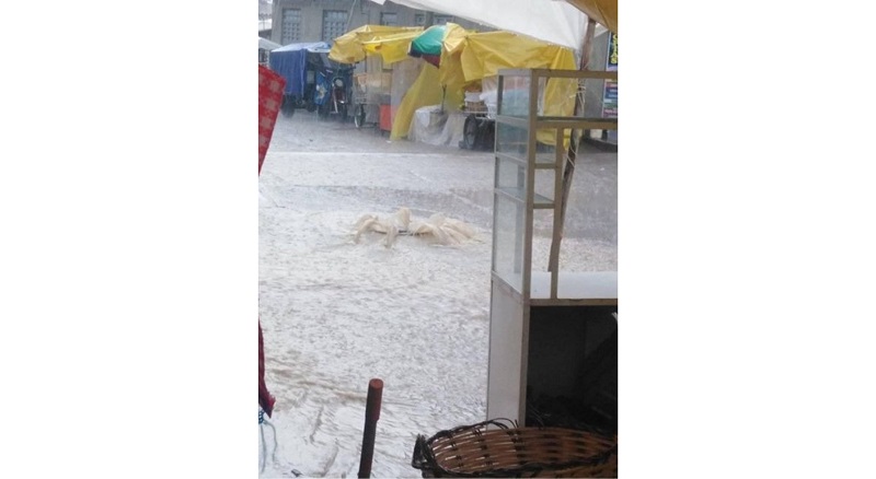 COER Áncash reporta lluvias intensas y fuertes vientos en diversos distritos de la zona sierra