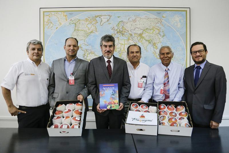 Mango de Casma se exportará al mundo con el nombre quechua “Puquymi”
