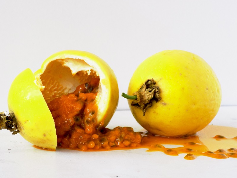 Retoman proyecto de fortalecimiento de la cadena de Maracuyá