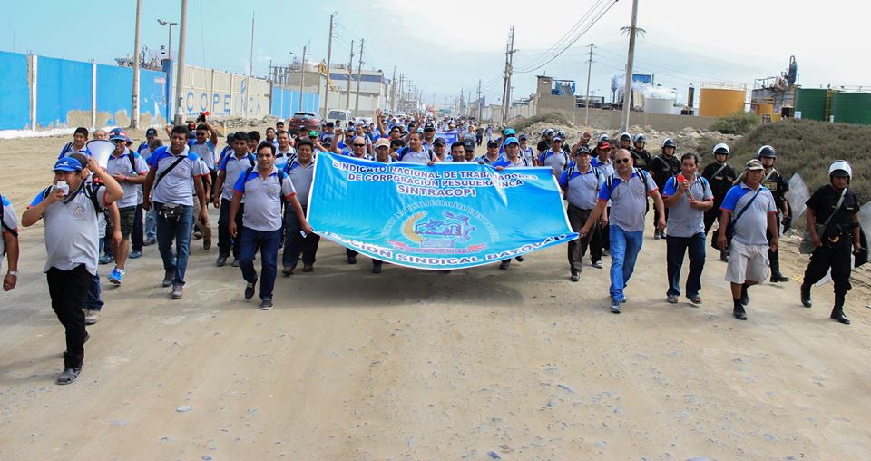 Chimbote: Este lunes marcha contra la desaparición de la pesca de consumo humano directo