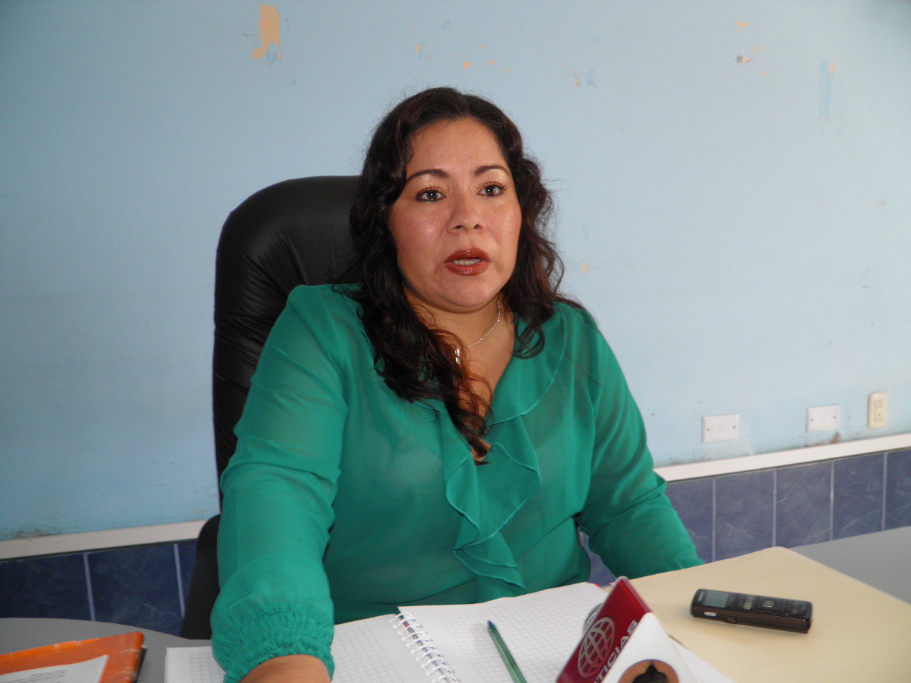 Chimbote: Esperan presupuesto para trabajos preventivos contra el dengue y chikungunya