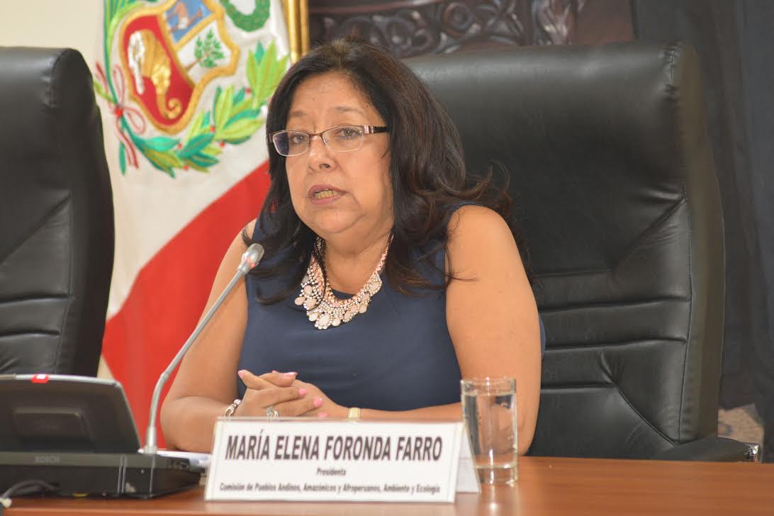 “Exigimos la pronta restitución y fortalecimiento de la Dirección de Salud de Pueblos Indígenas”