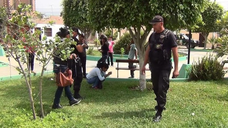  Moradora encuentra plantas de marihuana en parque “La  Amistad” de Garatea