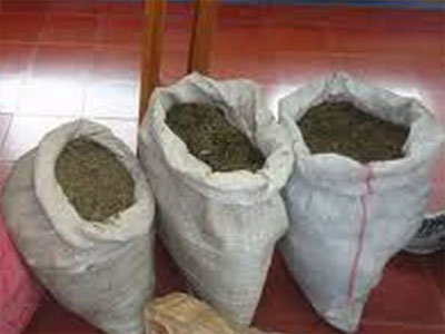 Áncash: Sujeto fugó abandonando 40 kilos de marihuana en la carretera Chuquicara-Huarochirí