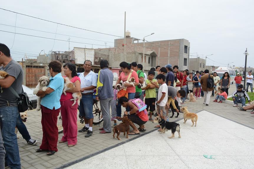600 mascotas atendidas en campaña canina en Nuevo Chimbote