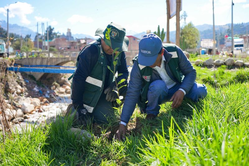 Áncash: Serfor impulsa protección de ecosistemas forestales  y educación