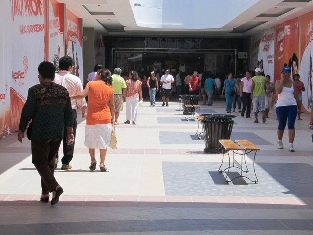 Atrapan a zorro costeño que deambulaba por instalaciones del Megaplaza Chimbote