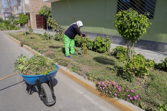 Municipio realiza mejoramiento de áreas verdes en los pueblos en Chimbote