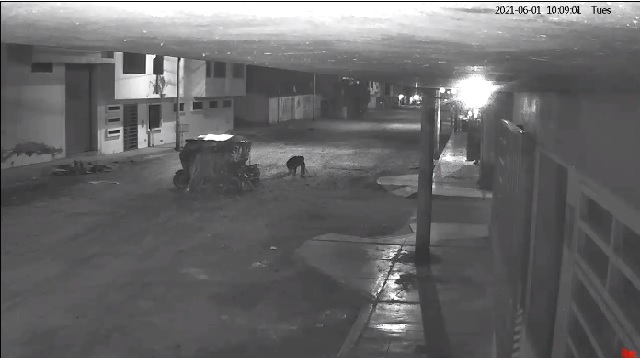 Vecinos atrapan a menor de edad que participó en asalto de una joven en Chimbote