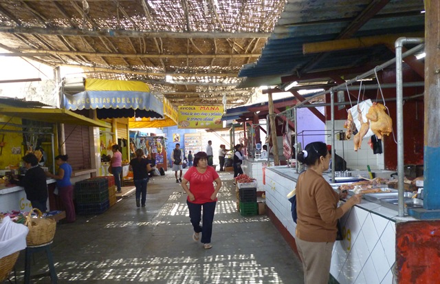 Aseguran que en 40 días se privatizará el mercado Miramar