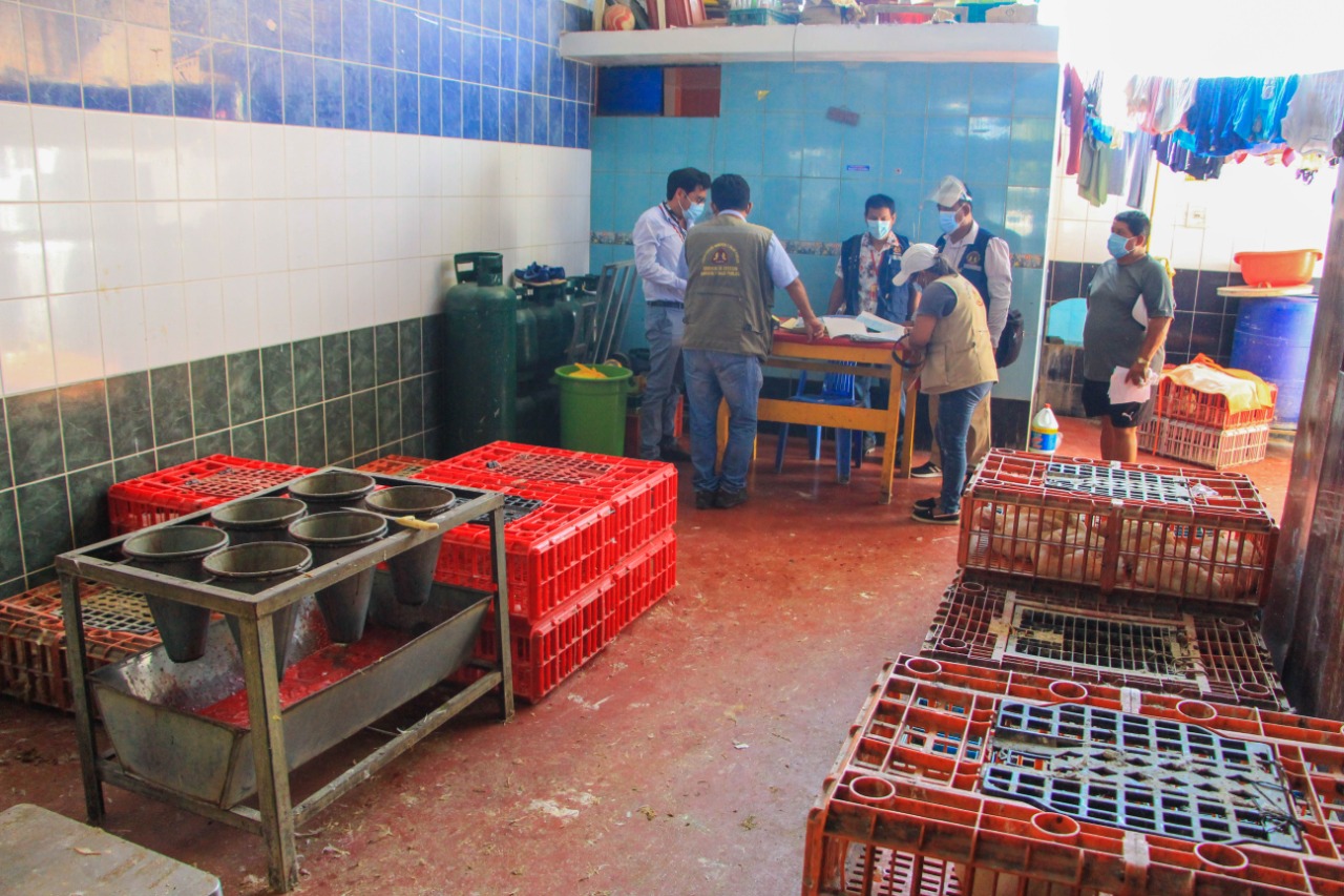 Chimbote: multan a propietarios de avícolas por realizar sacrificio de aves pese a estar prohibido