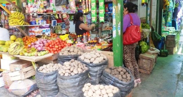 Chimbote: Cuatro mercados se encuentran sobrepoblados de roedores 