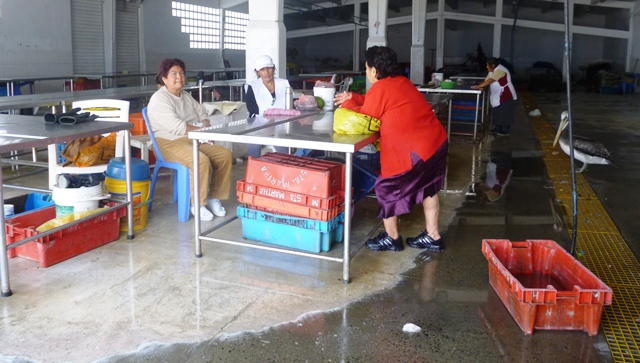 Precio de pescados y mariscos se duplican en los mercados