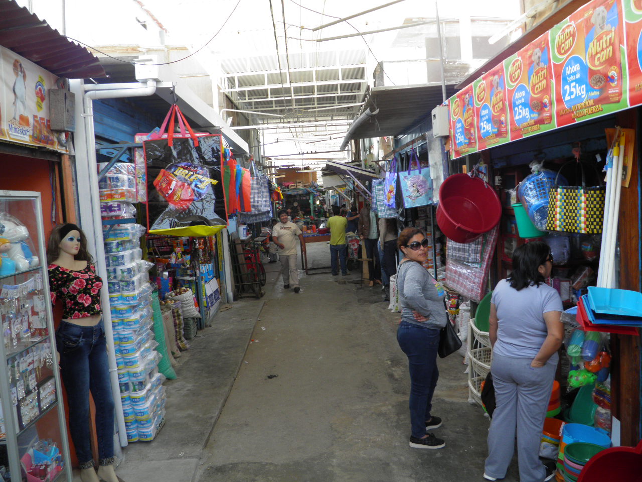 Alistan trabajos de desratización en cuatro mercados de Chimbote