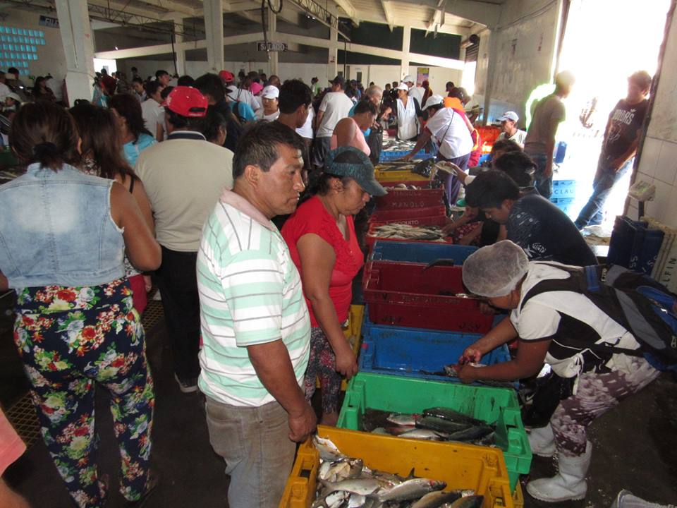 Chimbote: venta de pescados y mariscos con gran acogida por Semana Santa