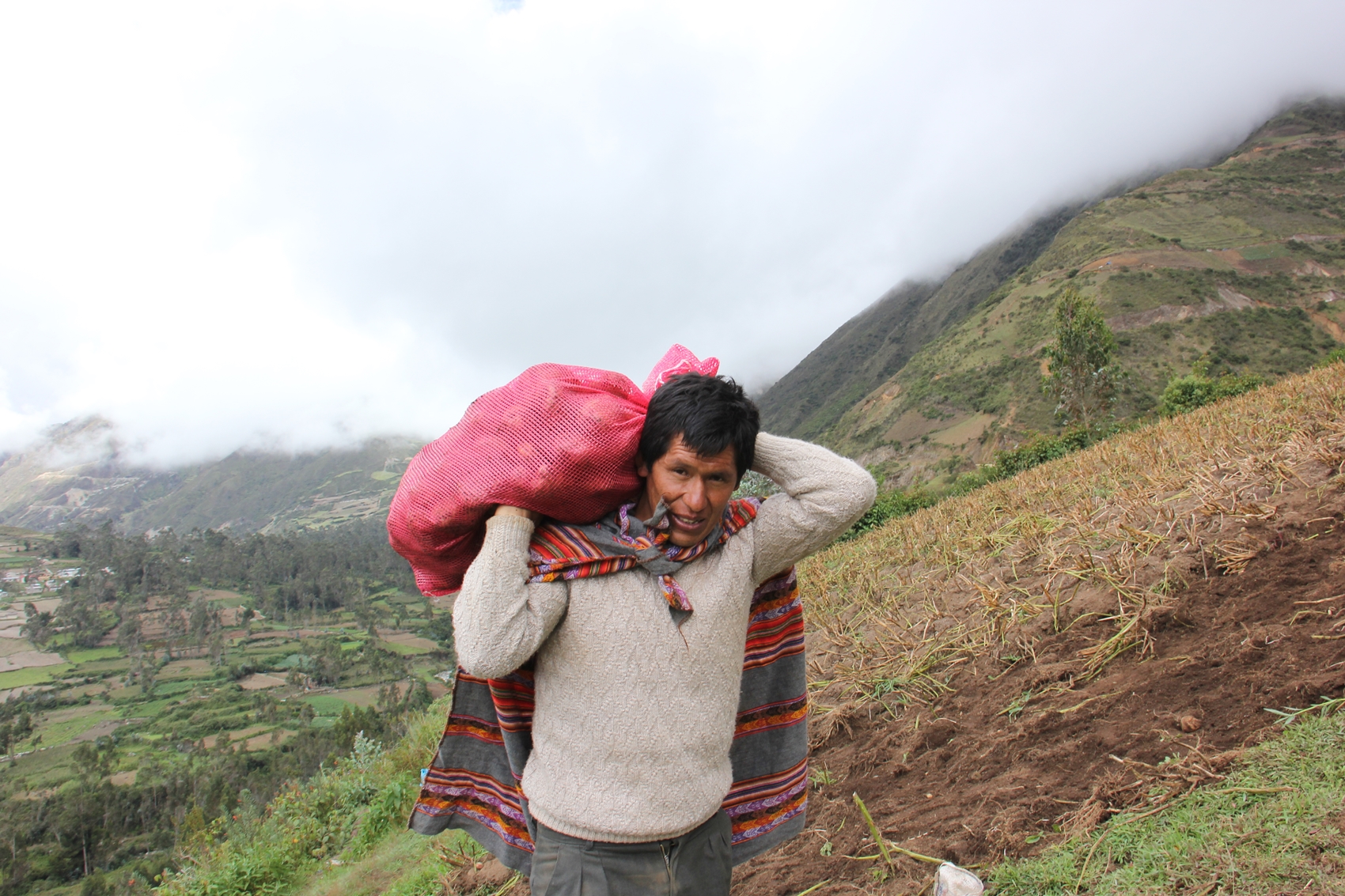 Mas de 43 mil microempresarios generan economía social y empleo con créditos a la pequeña empresa